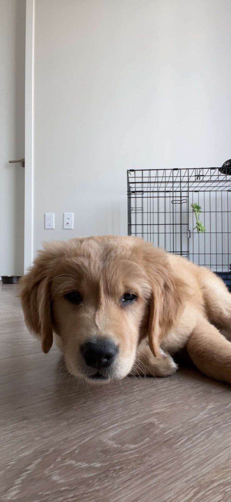 Murphy's Adventure Photo