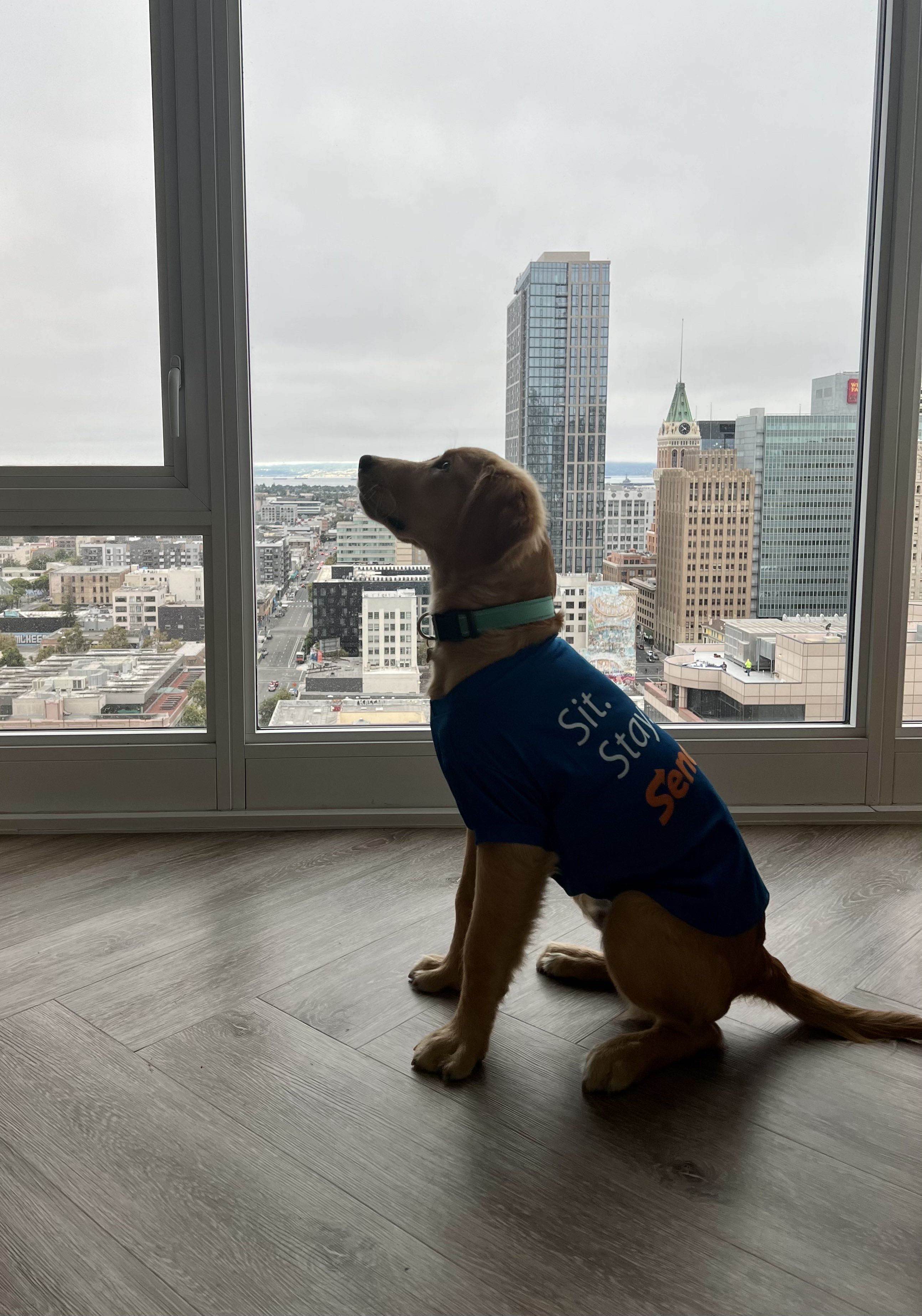 Murphy's Adventure Photo