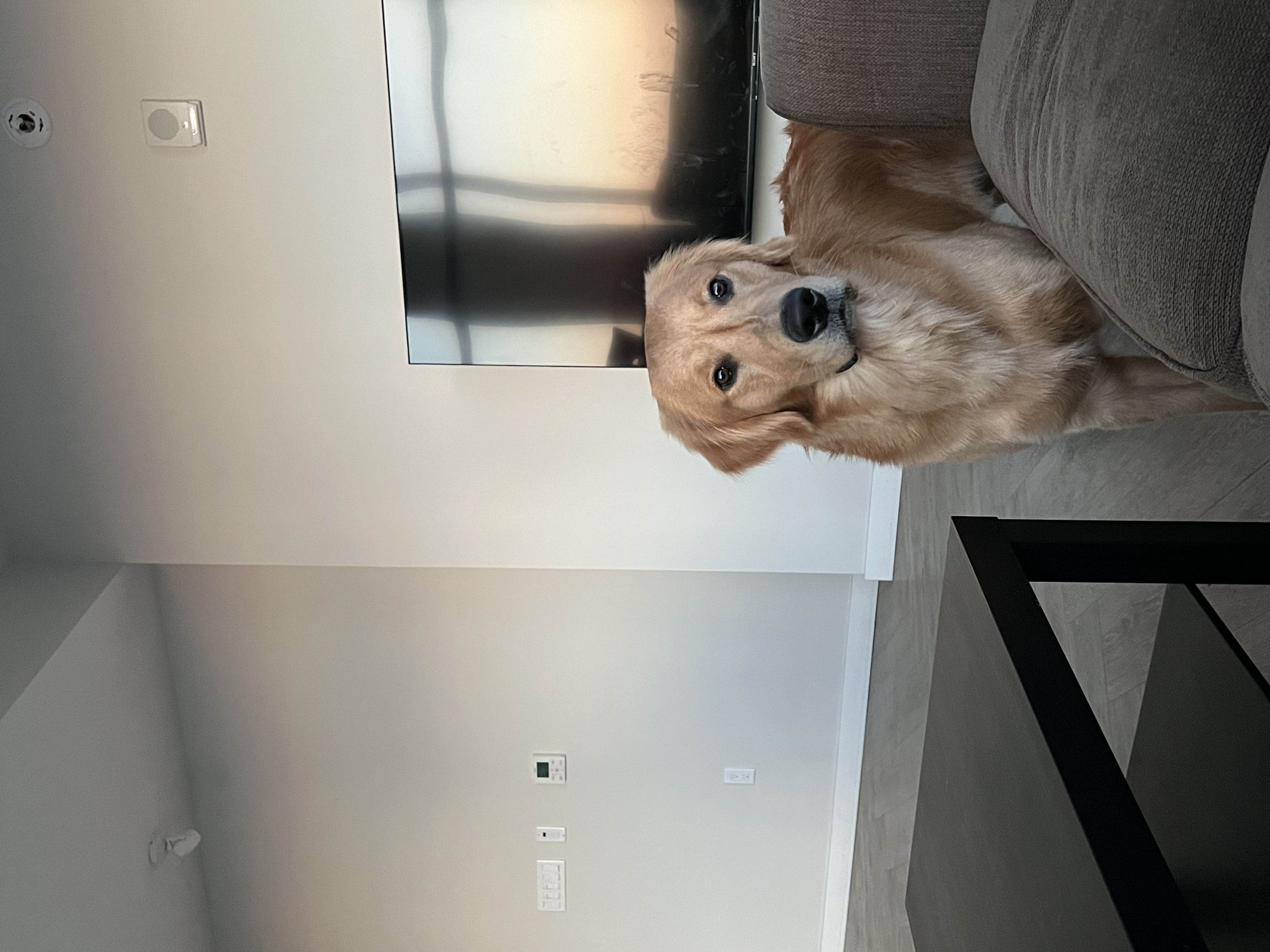 Murphy's Adventure Photo