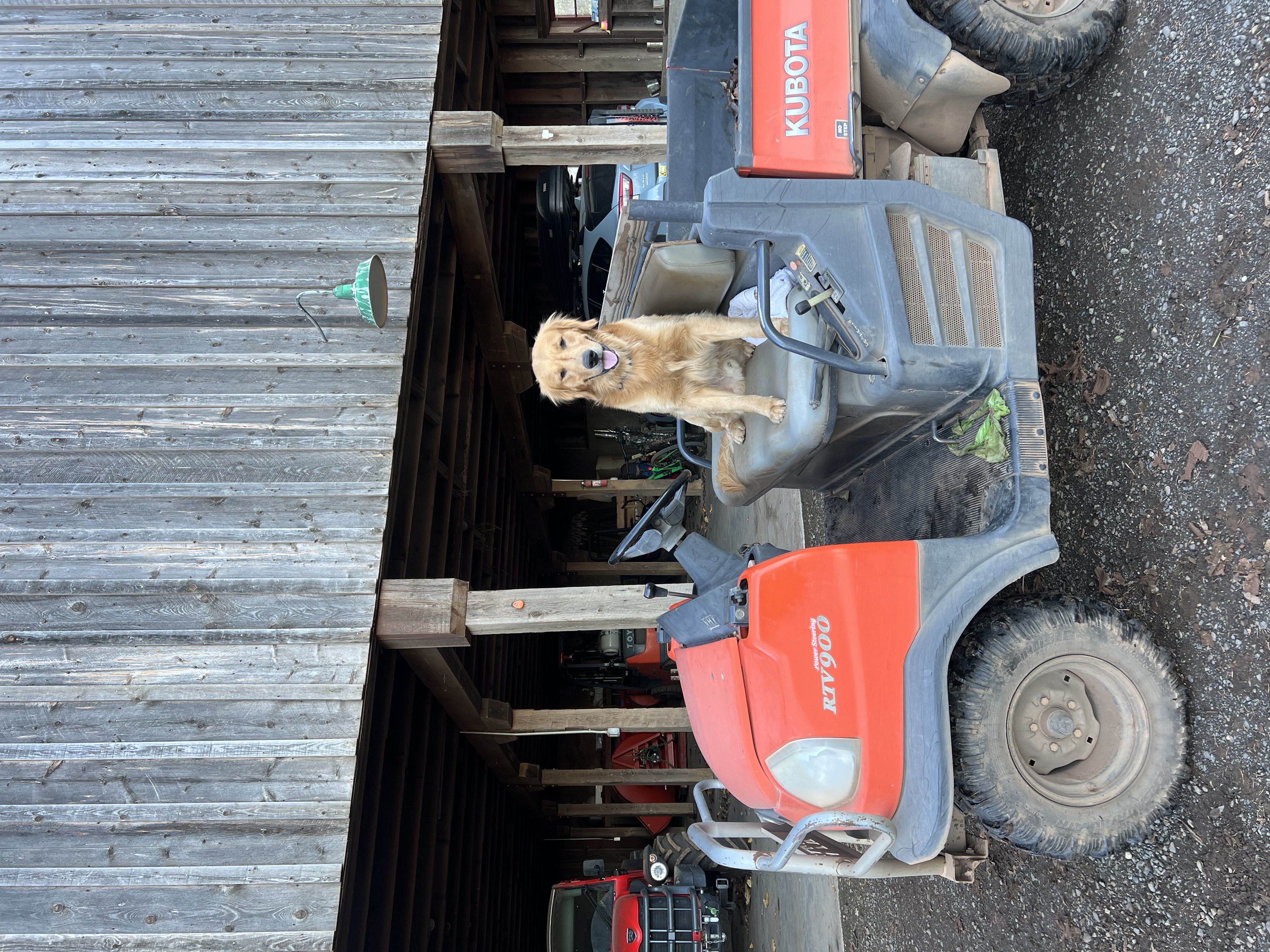 Murphy's Adventure Photo