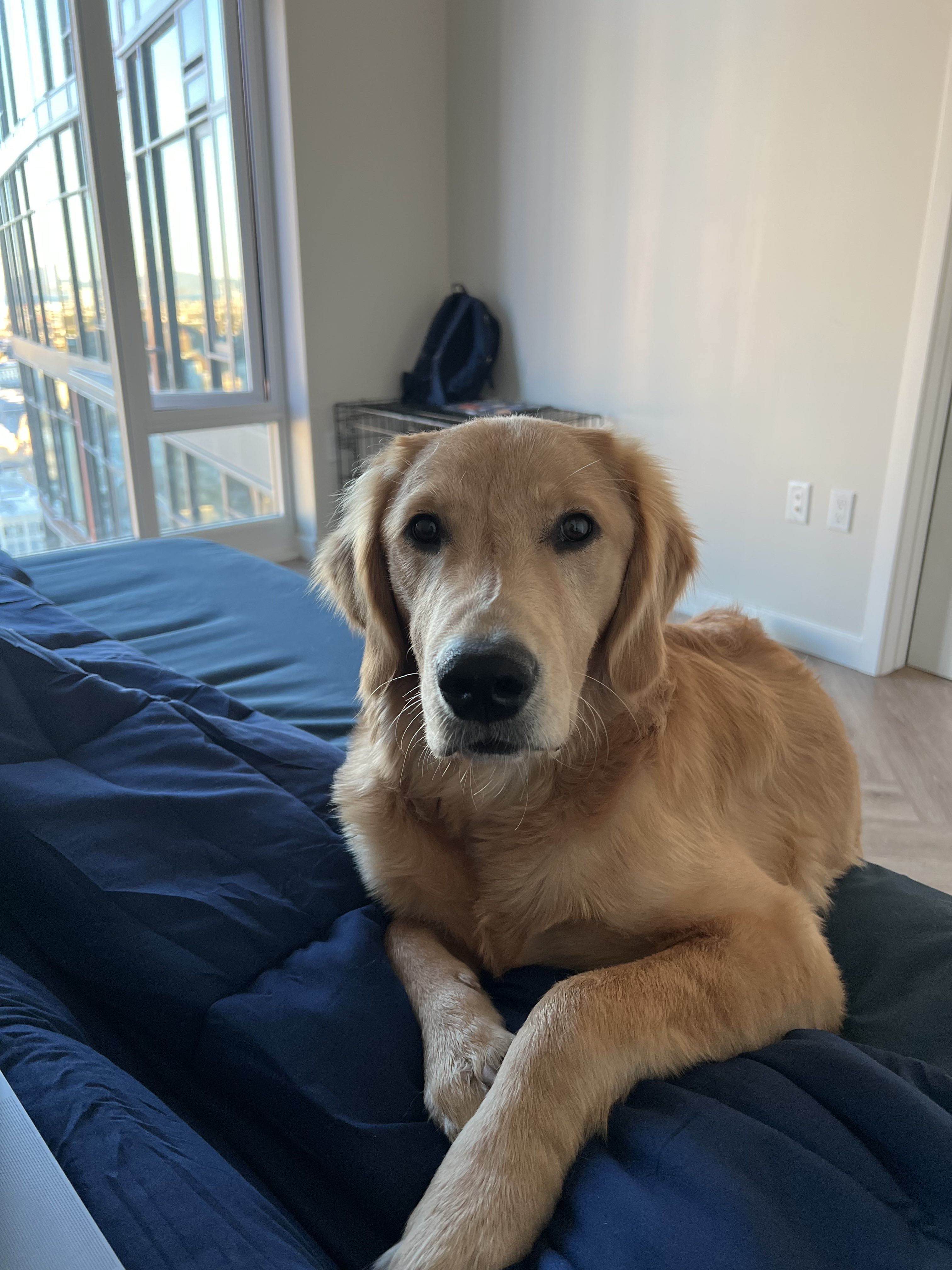 Murphy's Adventure Photo