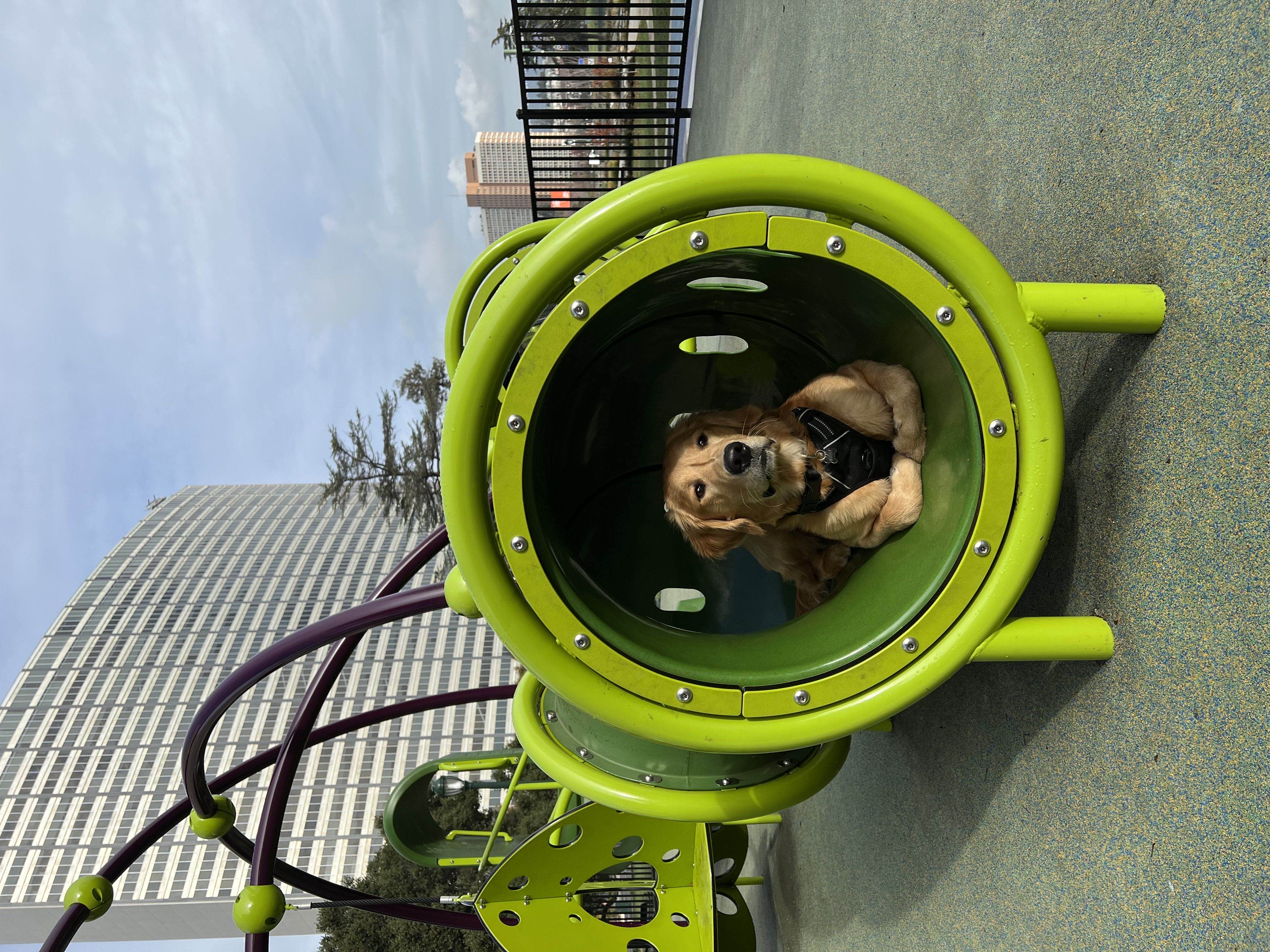 Murphy's Adventure Photo