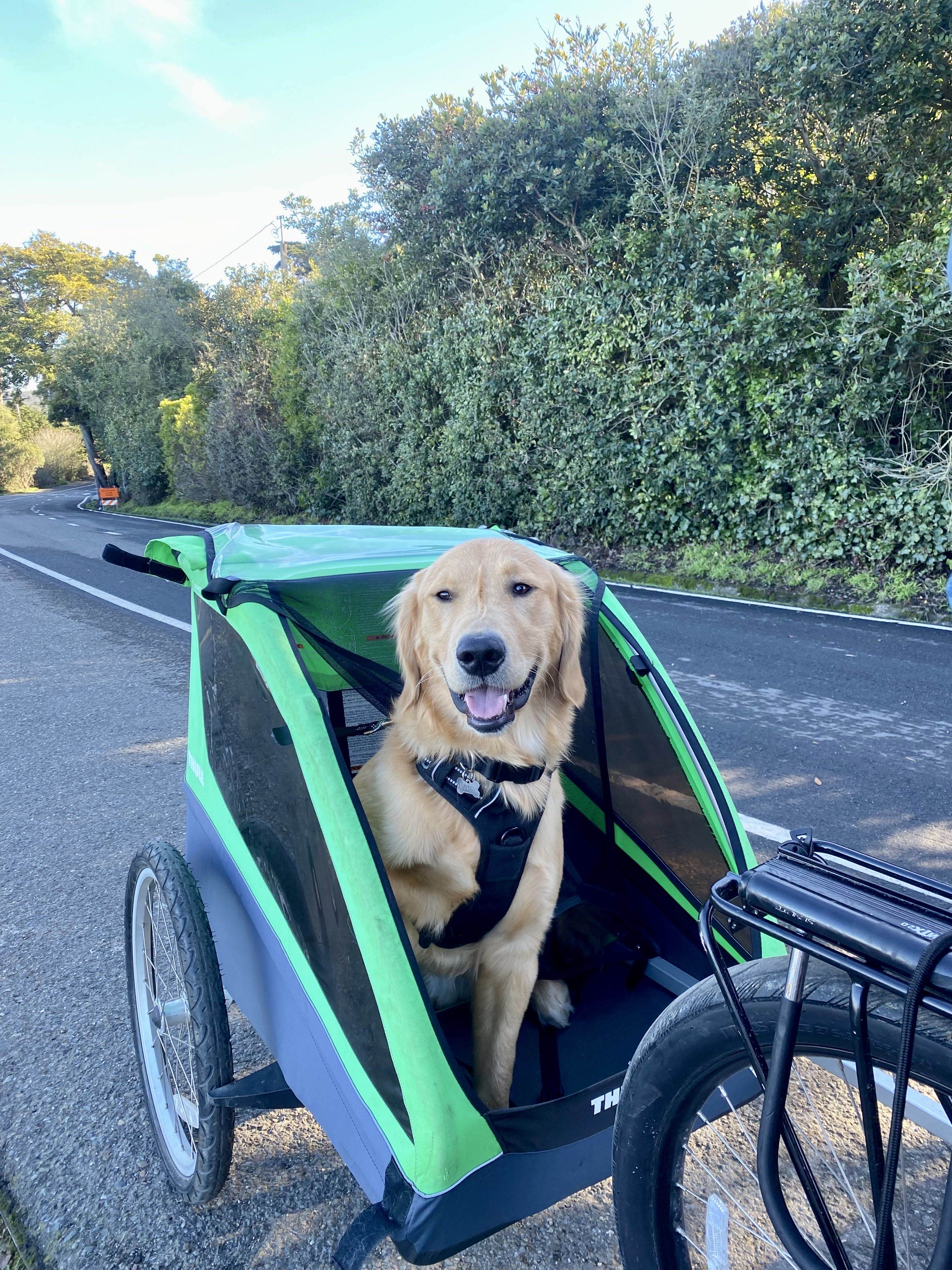 Murphy's Adventure Photo