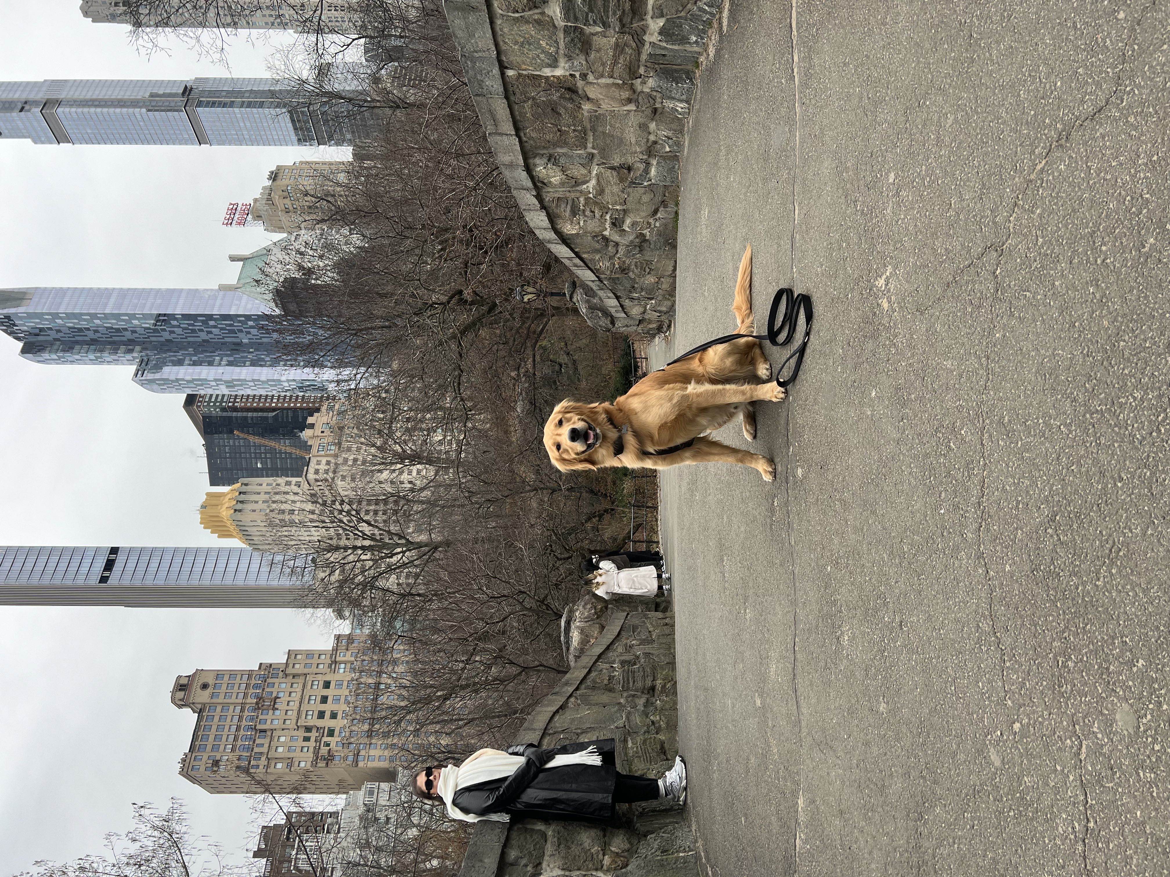 Murphy's Adventure Photo