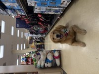Murphy Photo 5