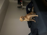 Murphy Photo 31