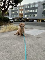 Murphy Photo 8