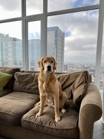 Murphy Photo 22