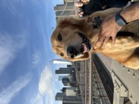 Murphy Photo 12