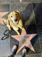 Murphy Photo 9