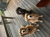 Murphy Photo 25