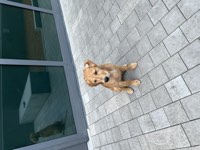 Murphy Photo 30