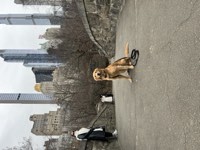 Murphy Photo 19