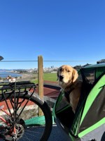 Murphy Photo 3