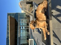 Murphy Photo 33
