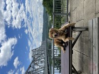 Murphy Photo 27