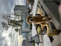 Murphy Photo 6